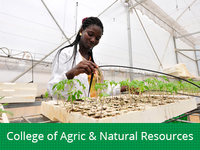Collge of Agric and Natural Resources img